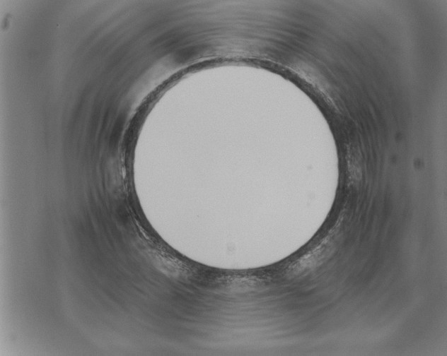 X0000071831070200607141654