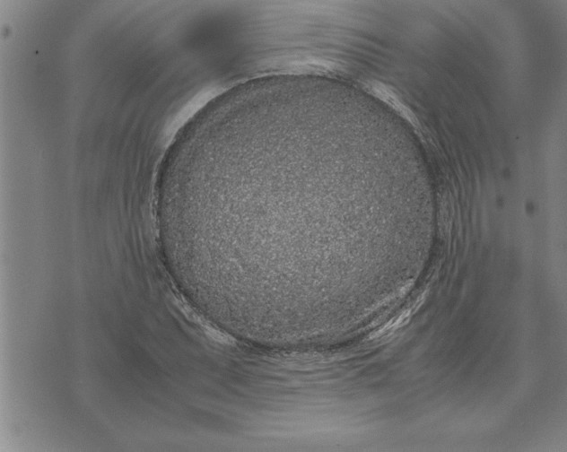 X0000071831071200607141654