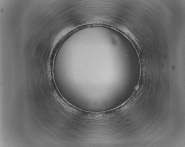 X0000071831072200607141654