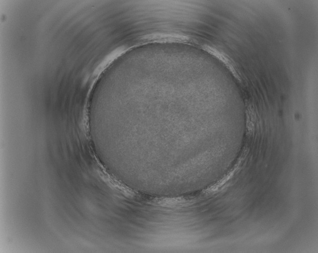 X0000071831074200607141654