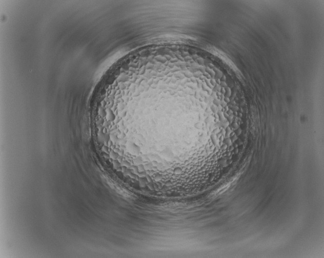 X0000071831075200607141654