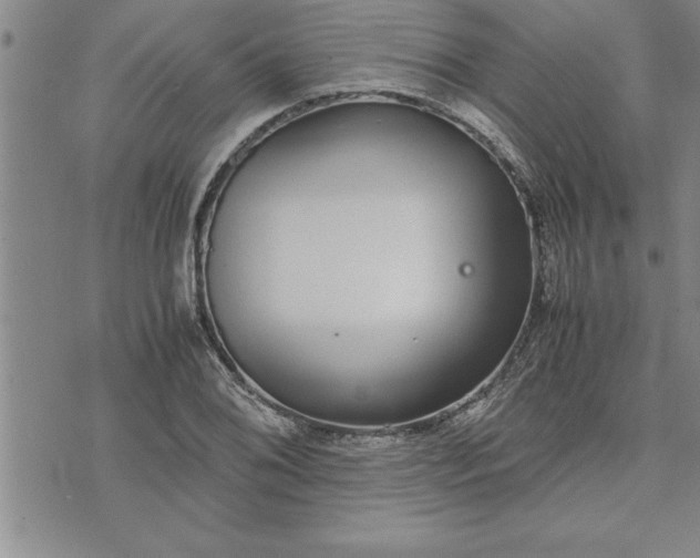 X0000071831076200607141654