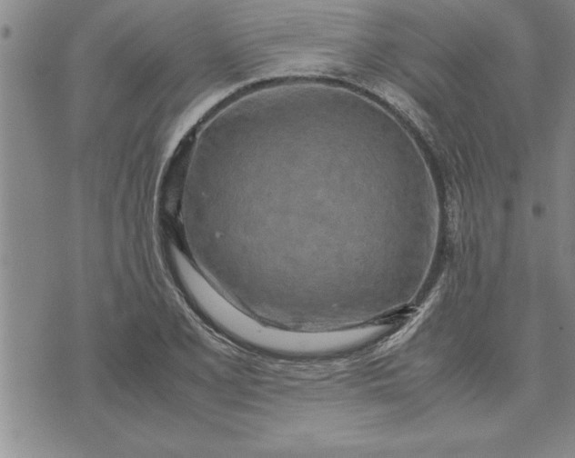 X0000071831077200607141654