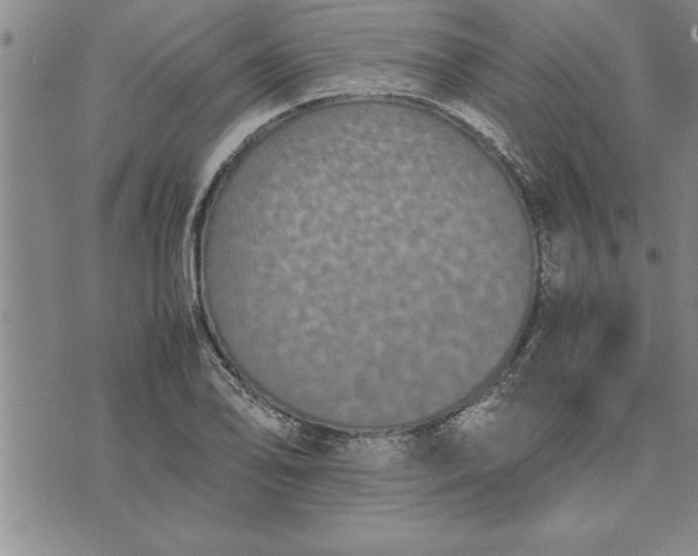 X0000071831078200607141654