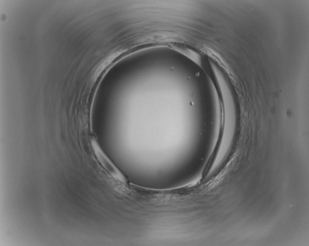 X0000071831081200607141654