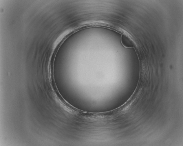 X0000071831082200607141654