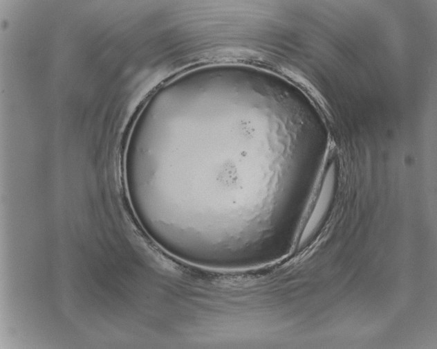 X0000071831083200607141654