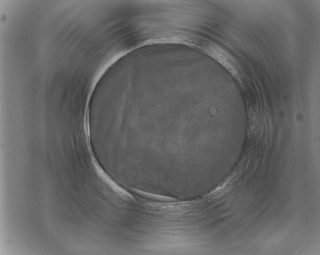 X0000071831084200607141654