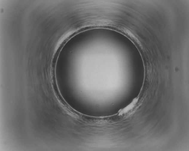 X0000071831085200607141654