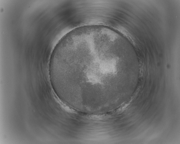 X0000071831086200607141654