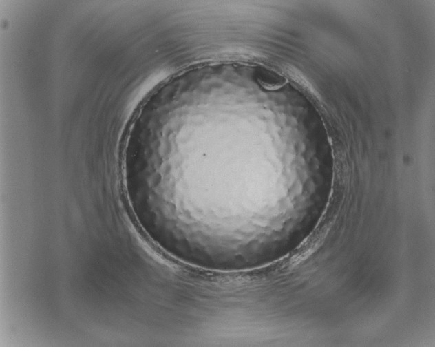 X0000071831087200607141654