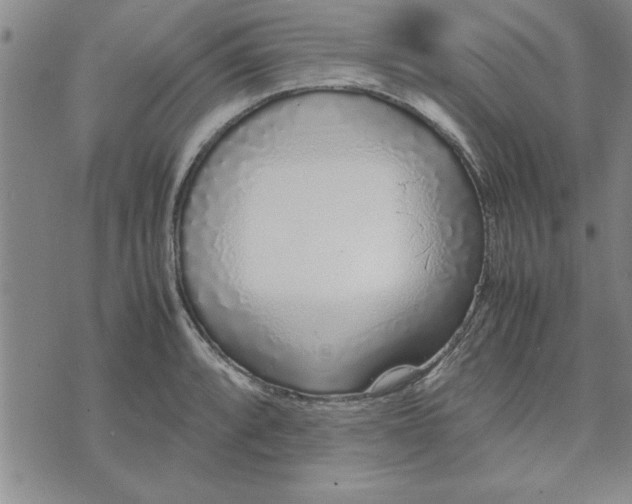 X0000071831088200607141654