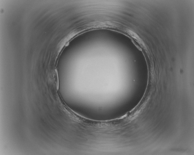 X0000071831089200607141654