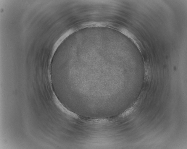 X0000071831090200607141654