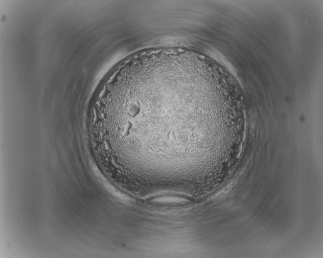 X0000071831091200607141654