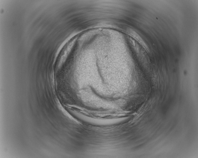 X0000071831092200607141654