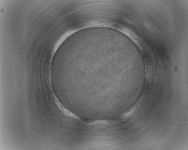 X0000071831094200607141654