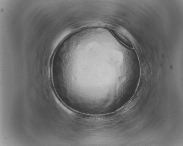 X0000071831095200607141654