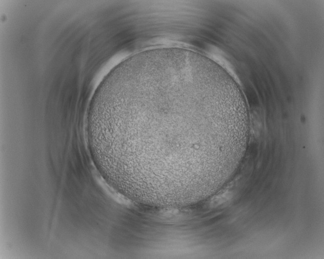 X0000071831098200607141654