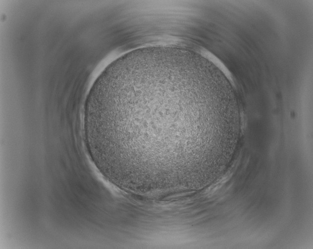 X0000071831099200607141654