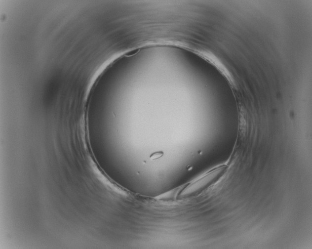 X0000071831100200607141654