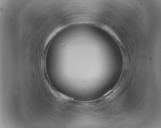 X0000071831101200607141654