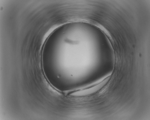 X0000071831102200607141654