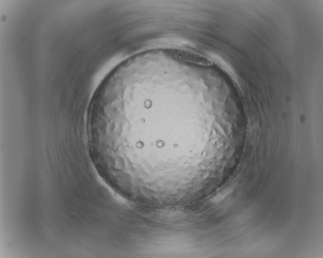 X0000071831103200607141654