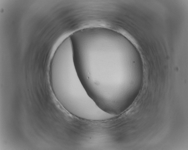 X0000071831104200607141654