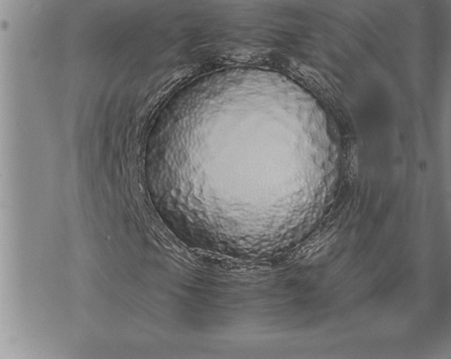 X0000071831105200607141653