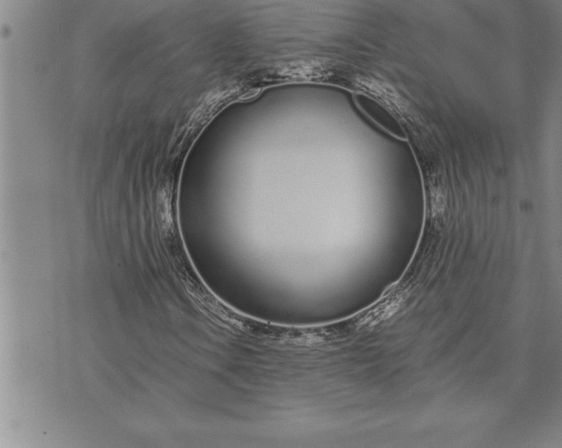 X0000071831106200607141653