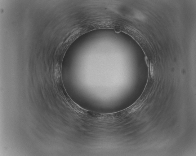 X0000071831107200607141653