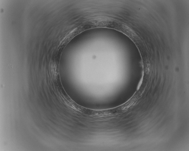 X0000071831108200607141653