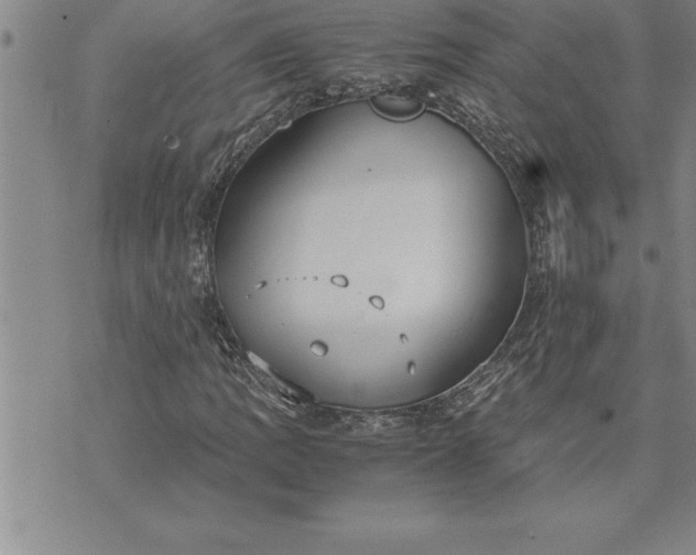 X0000071831109200607141653