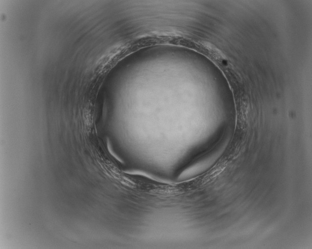 X0000071831110200607141653