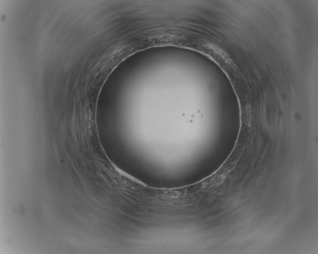 X0000071831111200607141653