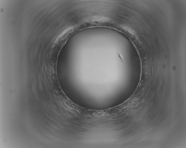 X0000071831112200607141653