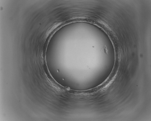 X0000071831113200607141653