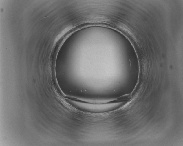 X0000071831114200607141653