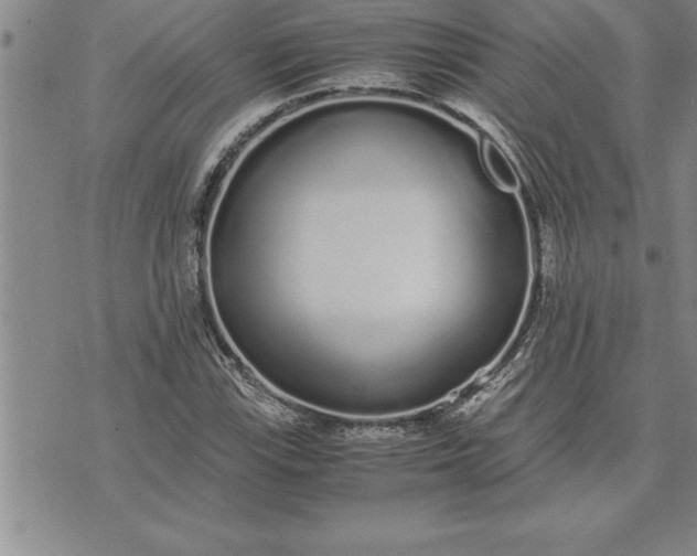 X0000071831115200607141653