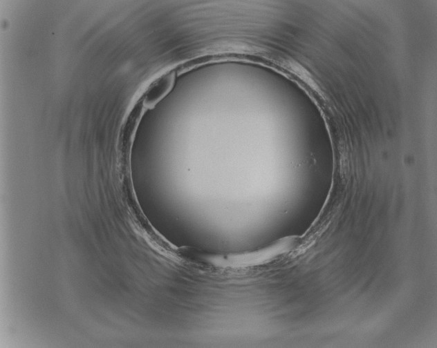 X0000071831116200607141653