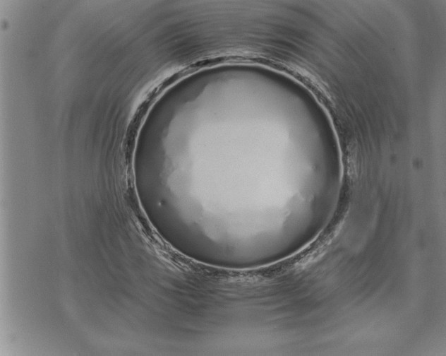 X0000071831117200607141653