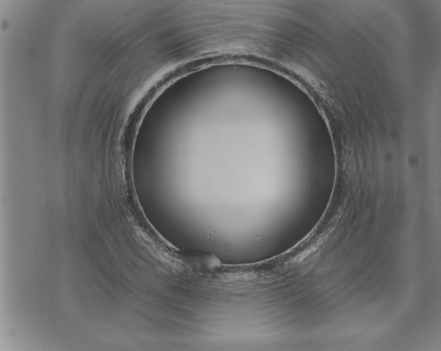 X0000071831118200607141653