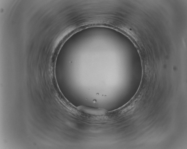 X0000071831119200607141653