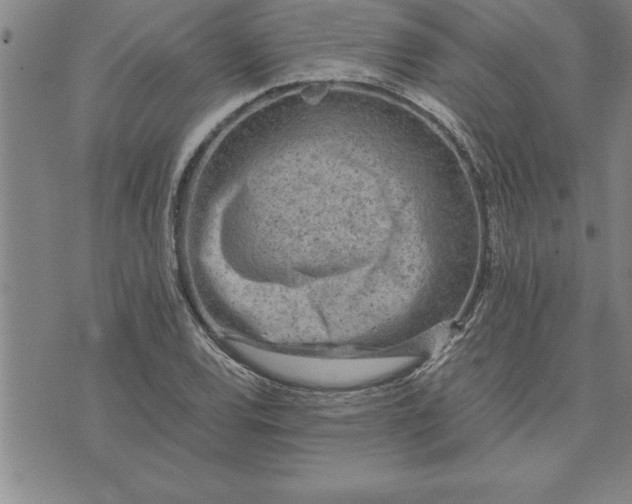 X0000071831120200607141653