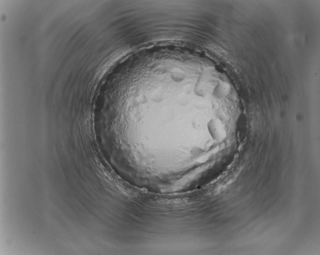 X0000071831121200607141653