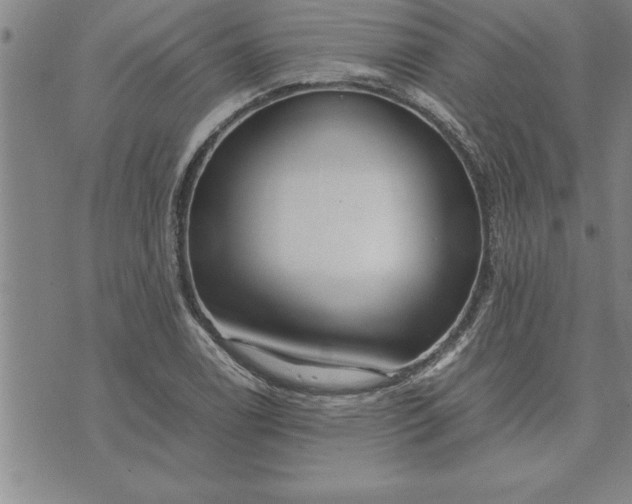 X0000071831122200607141653