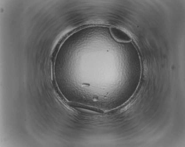 X0000071831123200607141653