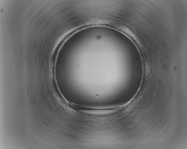 X0000071831124200607141653