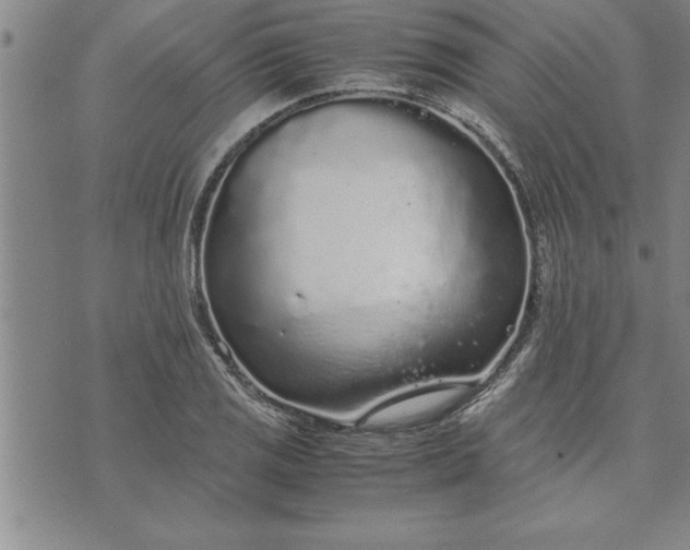 X0000071831125200607141653